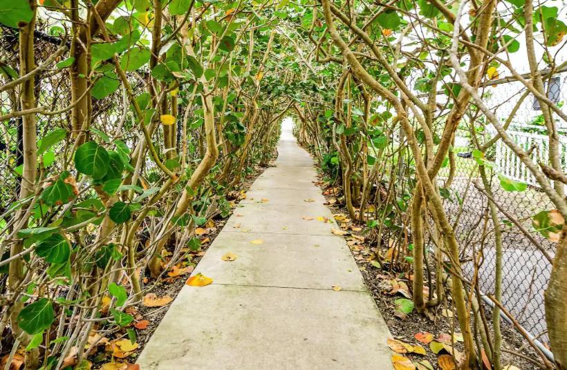 Dog Friendly Condo With Beach Access, Hot Tub, Firepit West Palm Beach Esterno foto